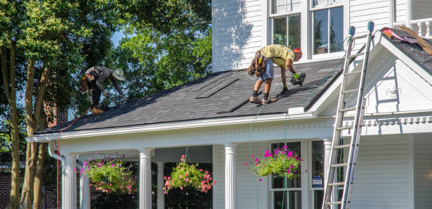 Best Roof Installation  in Young Harris, GA